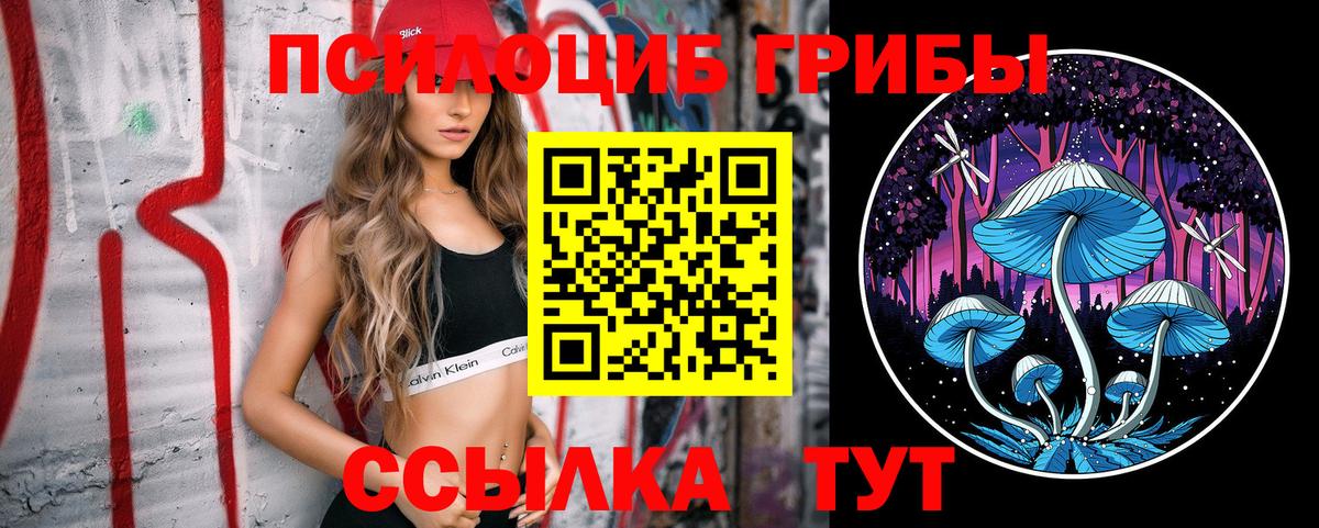 Псилоцибиновые грибы мицелий  Вход с VPN  Новороссийск  Псилоцибиновые грибы мухоморы 
